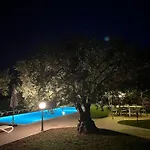 Pansion Margerita
