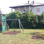 Pansion Margerita