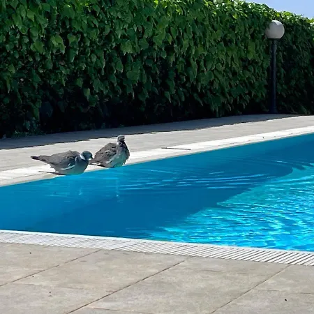 Pansion Margerita 波雷奇