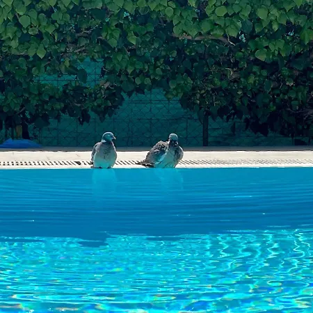 Pansion Margerita Oda ve Kahvaltı Poreč