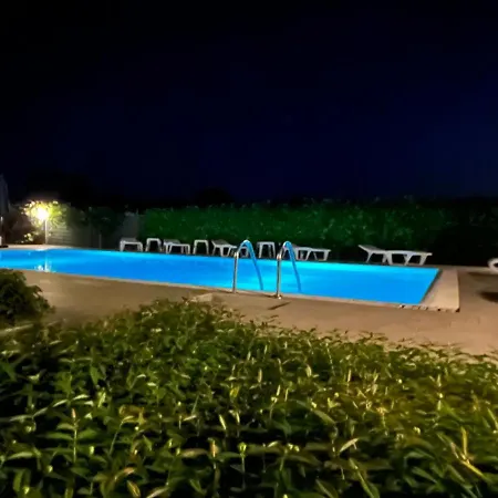 Pansion Margerita