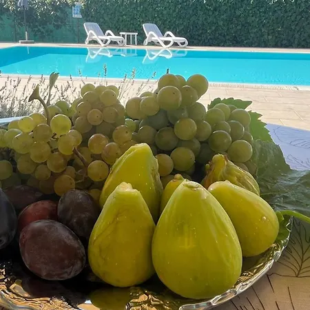 Pansion Margerita 3*