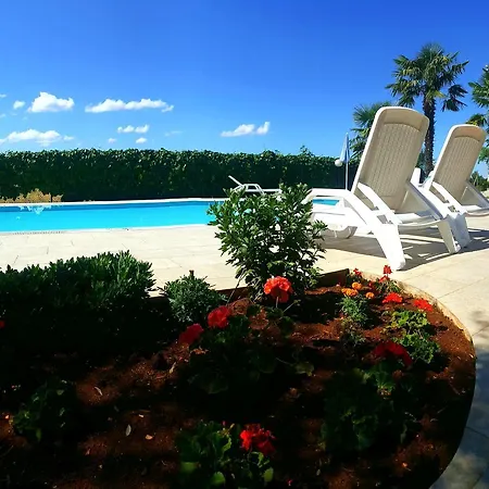 فندق مبيت وإفطار Pansion Margerita 3*