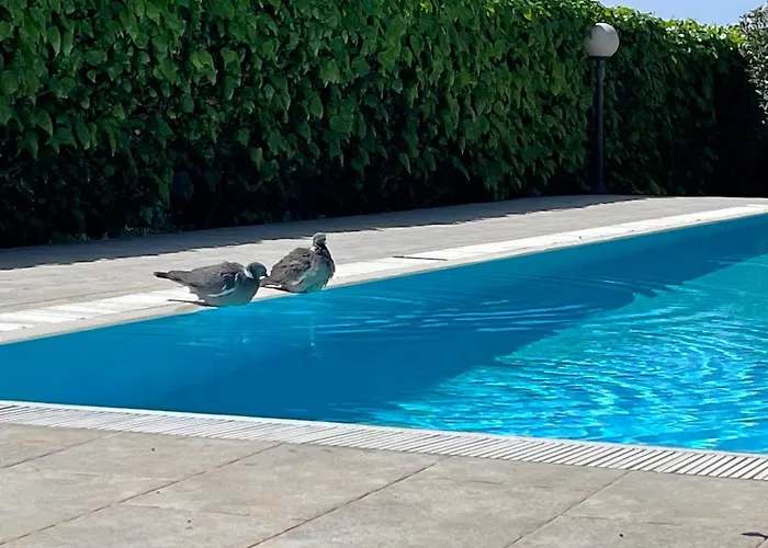 Pansion Margerita Poreč