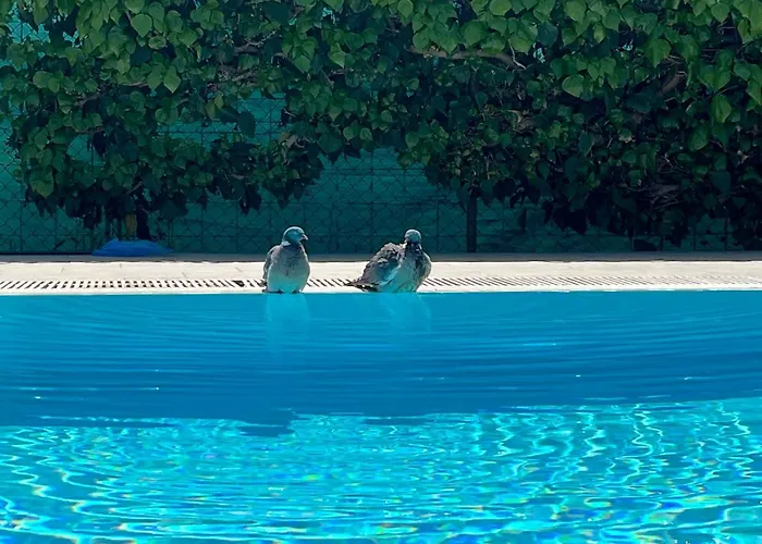 Pansion Margerita Oda ve Kahvaltı Poreč