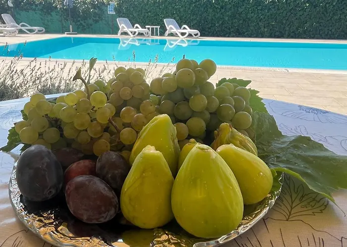 Pansion Margerita 3*