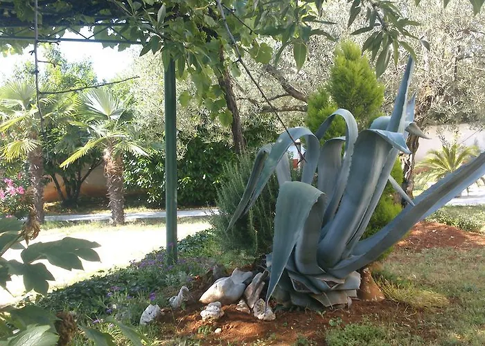 Oda ve Kahvaltı Pansion Margerita Poreč