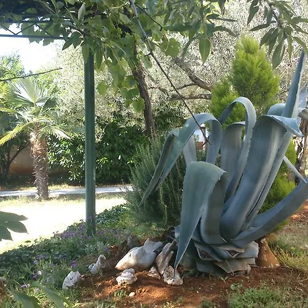 Bed & Breakfast Pansion Margerita Poreč