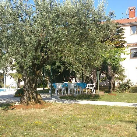 Pansion Margerita פורץ