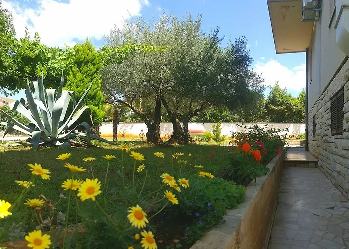 Bed & Breakfast Pansion Margerita